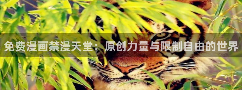 囧次元官方入口：免费漫画禁漫天堂：原创力量与限制自由的世界