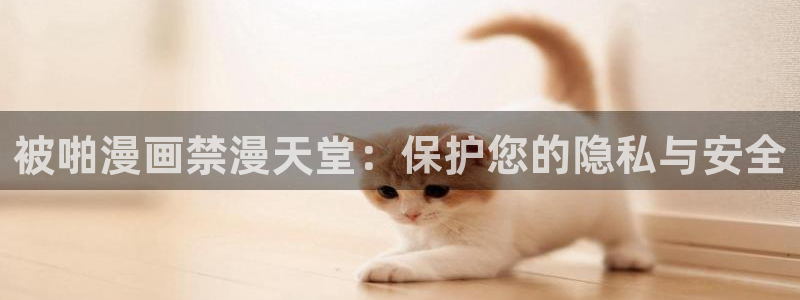 正版囧次元：被啪漫画禁漫天堂：保护您的隐私与安全
