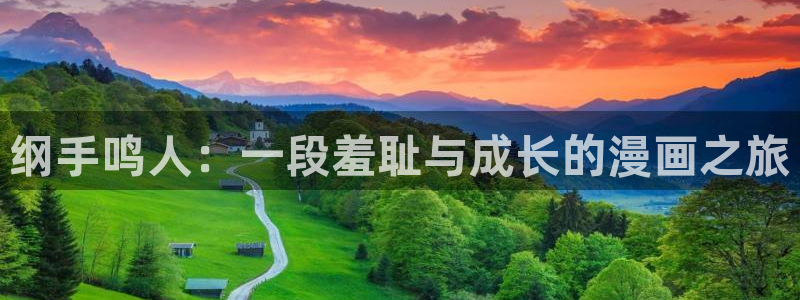 囧次元安卓版下载：纲手鸣人：一段羞耻与成长的漫画之旅