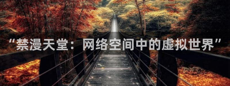 囧次元官方网址：“禁漫天堂：网络空间中的虚拟世界”