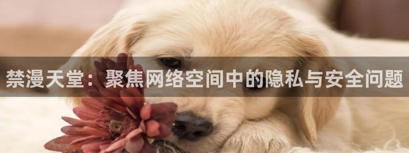 囧次元新版：禁漫天堂：聚焦网络空间中的隐私与安全问题