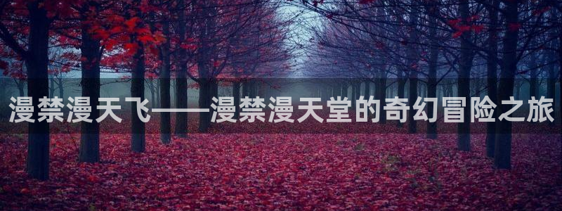 囧次元在线观看：漫禁漫天飞——漫禁漫天堂的奇幻冒险之旅