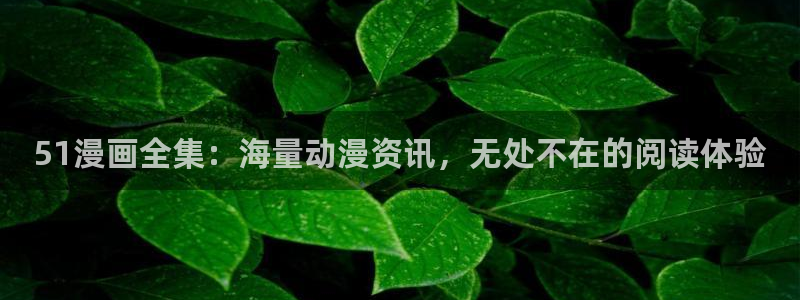 囧次元官方网站入口官网：51漫画全集：海量动漫资讯，无处不在的阅读体验
