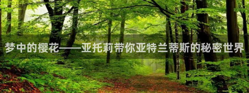 b次元下载官网：梦中的樱花——亚托莉带你亚特兰蒂斯的秘密世界