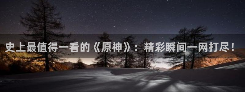 囧次元官方正版官网入口：史上最值得一看的《原神》：精彩瞬间一网打尽！