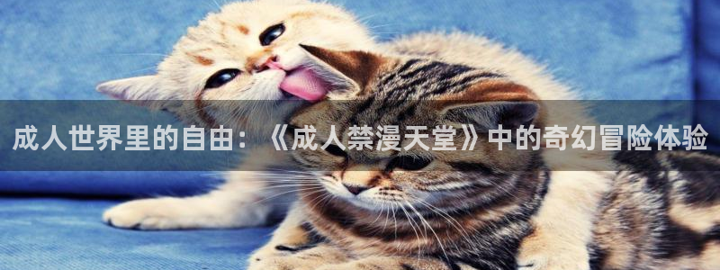 jcy.囧次元官网：成人世界里的自由：《成人禁漫天堂》中的奇幻冒险体验