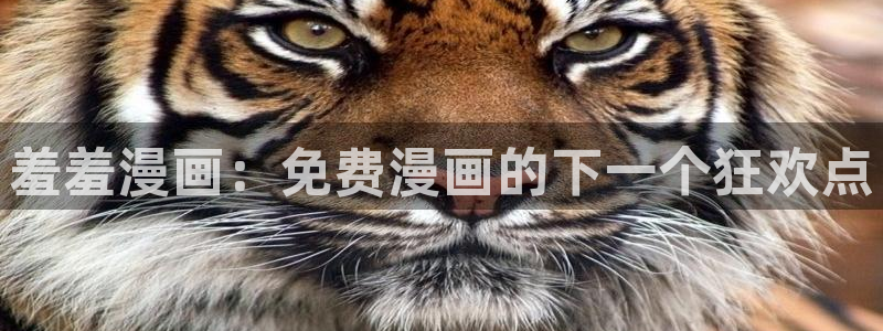 囧次元看动漫：羞羞漫画：免费漫画的下一个狂欢点