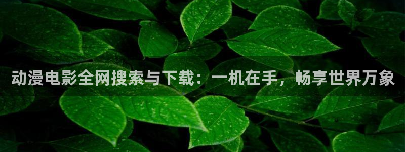 囧次元官方下载：动漫电影全网搜索与下载：一机在手，畅享世界万象