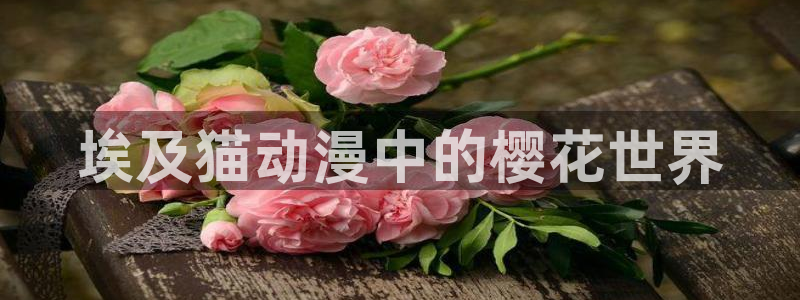 囧次元app最新版：埃及猫动漫中的樱花世界